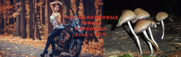 меф Медногорск