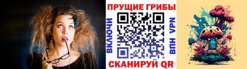 Псилоцибиновые грибы Cubensis  Липецк 
