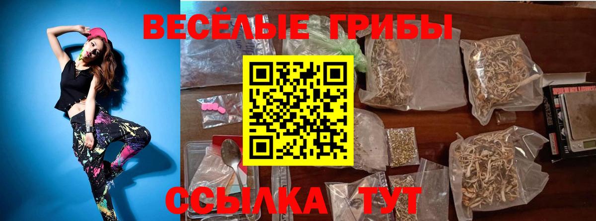 Россия  купить   Вход с VPN  Псилоцибиновые грибы Cubensis 