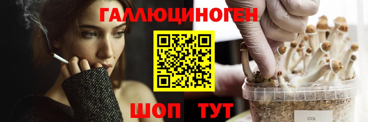 Псилоцибиновые грибы ЛСД Россия